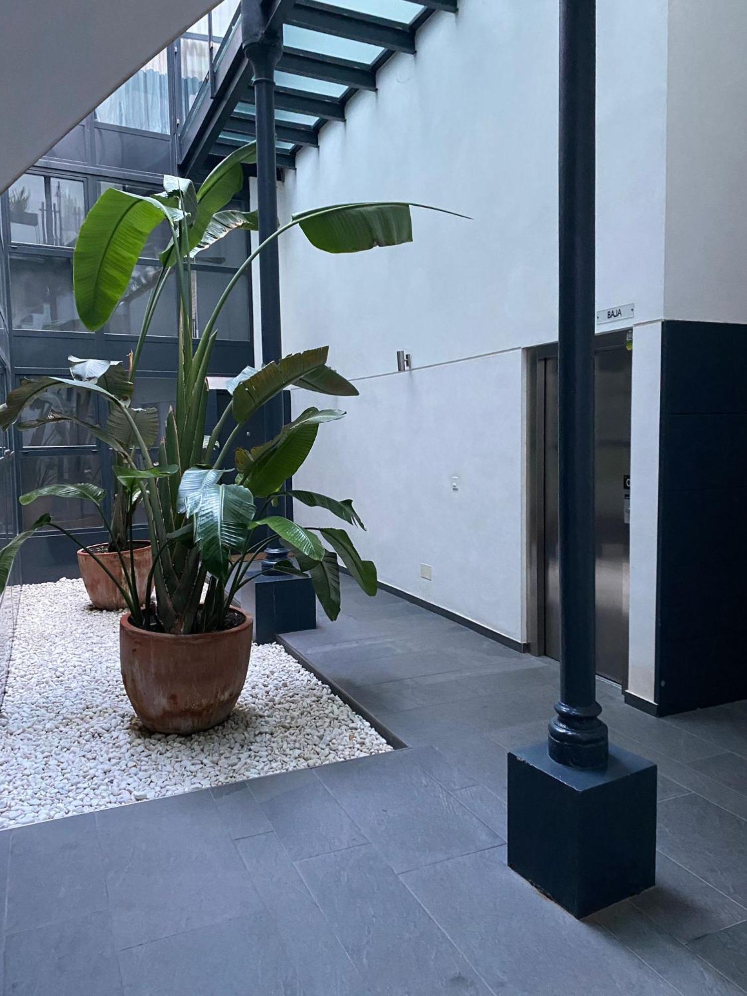 Moderno Duplex Sevillano 외부 사진